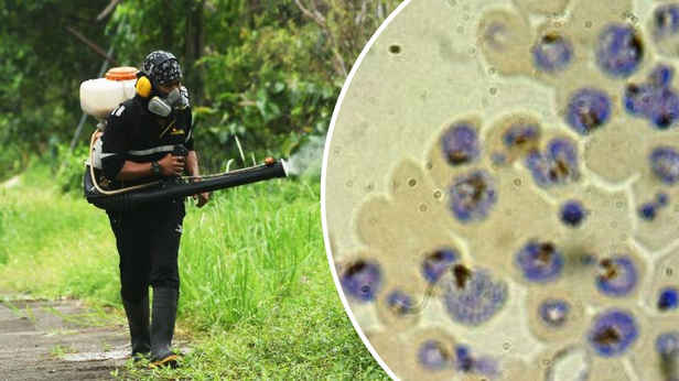 'Relentless' disease taking more and more lives on Australia's doorstep 'Relentless' disease taking more and more lives on Australia's doorstep