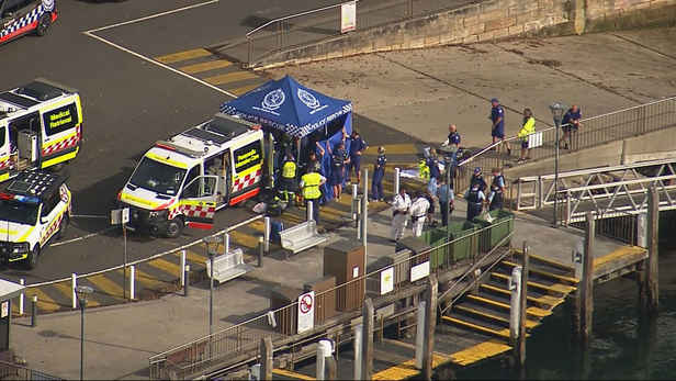 Boy fighting for life after 'large' shark attacks in Sydney Harbour