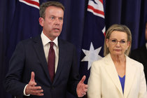 Liberals officially abandon net zero after months of division