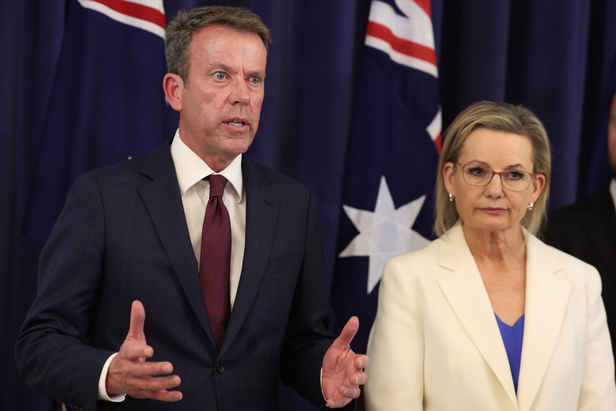 Liberals officially abandon net zero after months of division