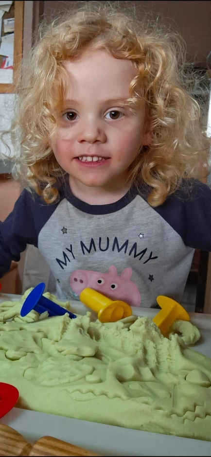 Person with close ties to household of Gus Lamont identified as suspect in his disappearance