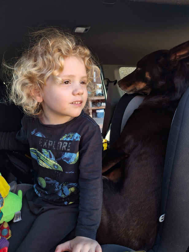 Police allege family members of missing Gus Lamont allegedly 'not cooperating'