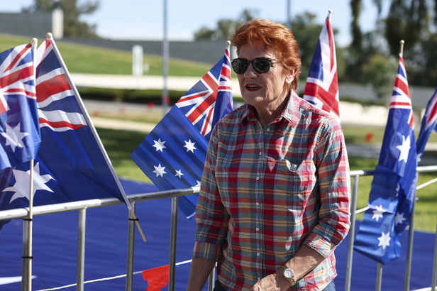 Protest led by Pauline Hanson calls for end to mass immigration