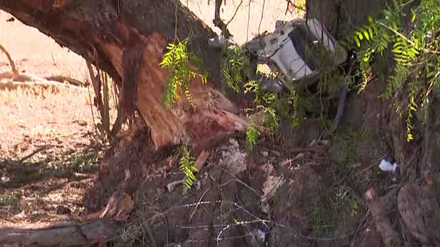 Teens fighting for life after deadly minivan crash near Victoria-NSW border